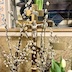 A close-up photo of the gold cross and pussywillows in the previous photo. Tulips and leaves are visible in the lower-left corner of the frame, and part of a stained glass window is visible in the upper half of the frame, behind the cross.