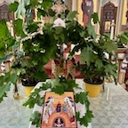 Photo from Pentecost weekend